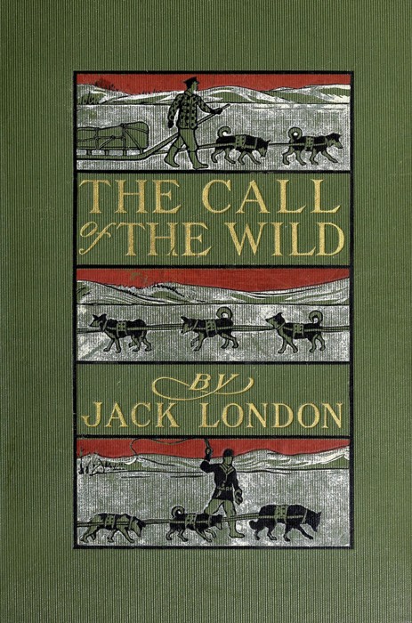 The call of the wild - Jack London